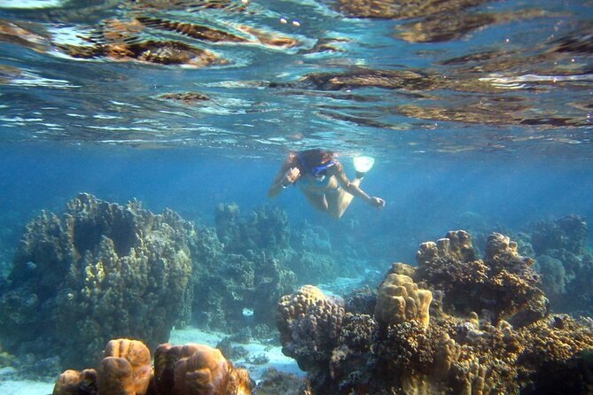 https://media-cdn.tripadvisor.com/media/attractions-splice-spp-674x446/0f/56/45/d2.jpg